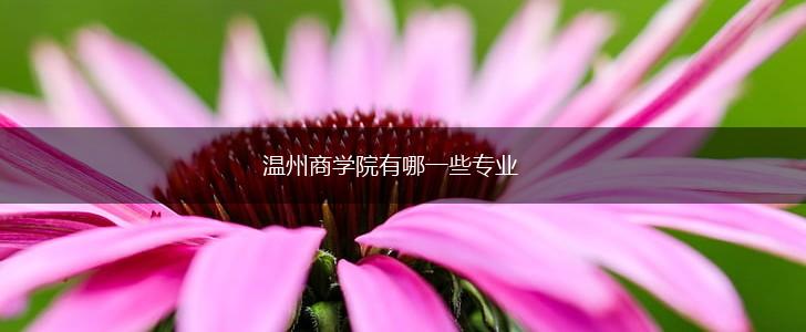 温州商学院有哪一些专业,第1张
