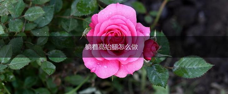 躺着高抬腿怎么做,第1张