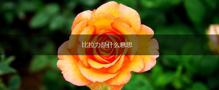 比拉力是什么意思,第1张