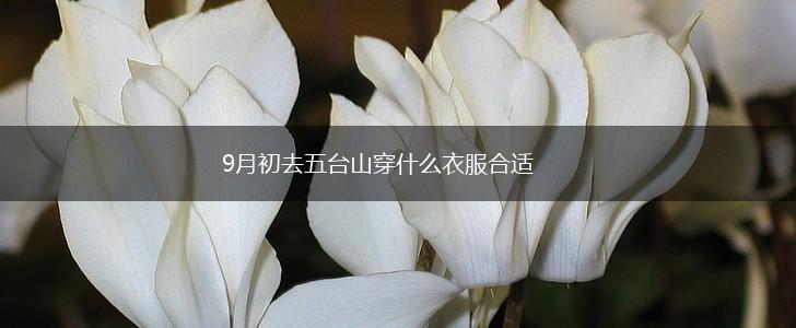 9月初去五台山穿什么衣服合适,第1张