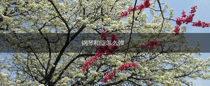 钢琴和旋怎么弹,第1张