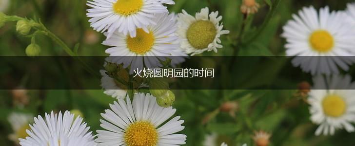 火烧圆明园的时间,第1张
