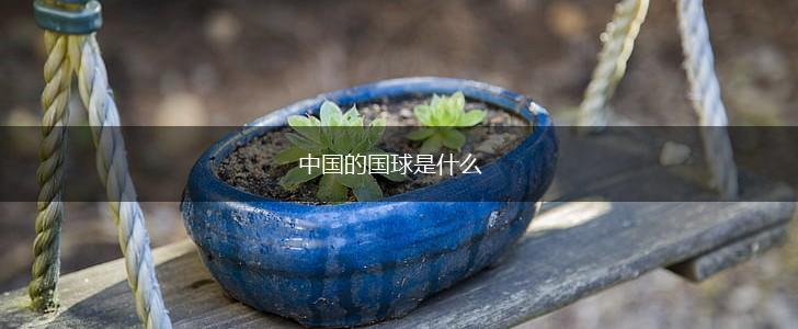 中国的国球是什么,第1张