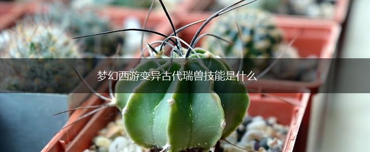 梦幻西游变异古代瑞兽技能是什么,第1张