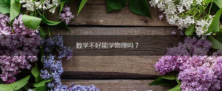 数学不好能学物理吗？,第1张