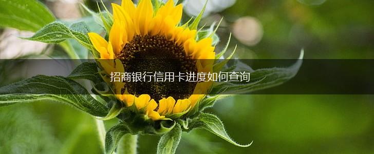 招商银行信用卡进度如何查询,第1张