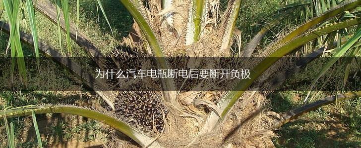 为什么汽车电瓶断电后要断开负极,第1张 为什么汽车电瓶断电后要断开负极,第1张