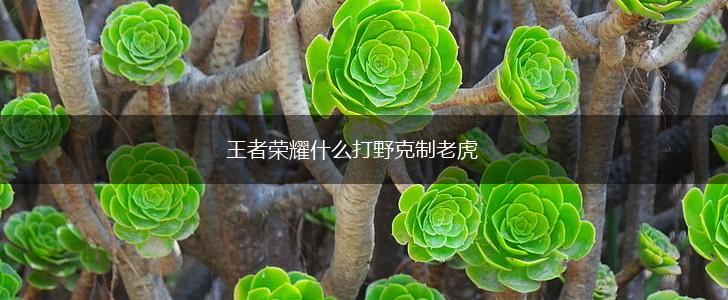 王者荣耀什么打野克制老虎,第1张
