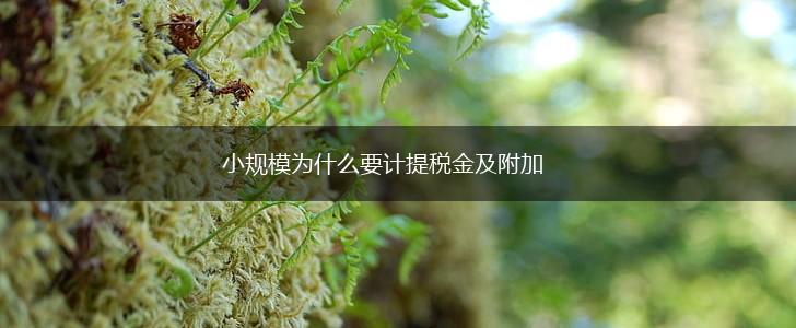 小规模为什么要计提税金及附加,第1张