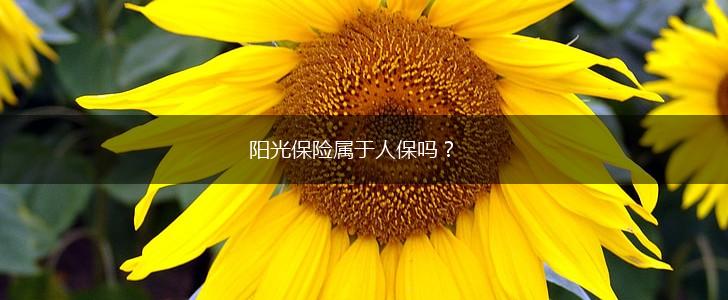 阳光保险属于人保吗？,第1张