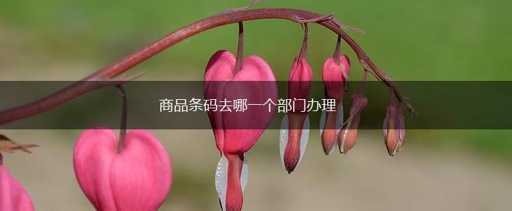 商品条码去哪一个部门办理,第1张