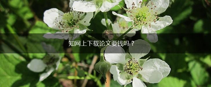 知网上下载论文要钱吗？,第1张