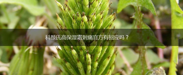 科颜氏高保湿霜刺痛官方有回应吗?,第1张 科颜氏高保湿霜刺痛官方有回应吗?,第1张