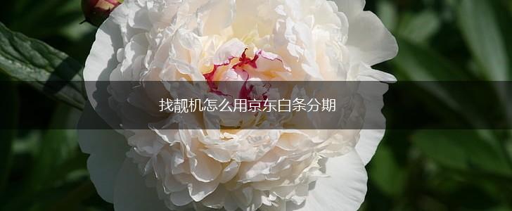 找靓机怎么用京东白条分期,第1张