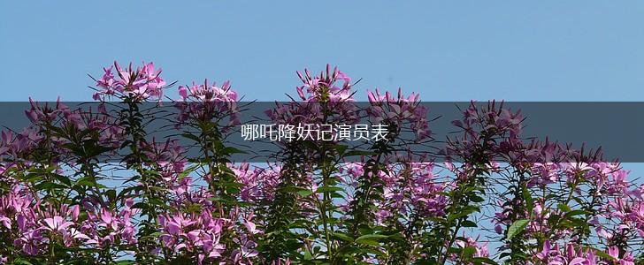 哪吒降妖记演员表,第1张