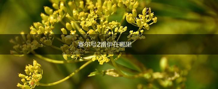 赛尔号2雷伊在哪里,第1张