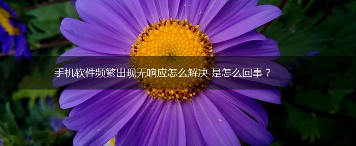 手机软件频繁出现无响应怎么解决 是怎么回事?,第1张 手机软件频繁出现无响应怎么解决 是怎么回事?,第1张