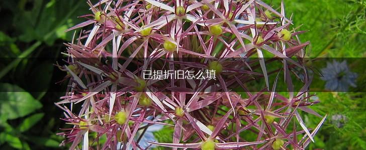 已提折旧怎么填,第1张