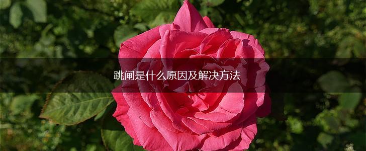 跳闸是什么原因及解决方法,第1张
