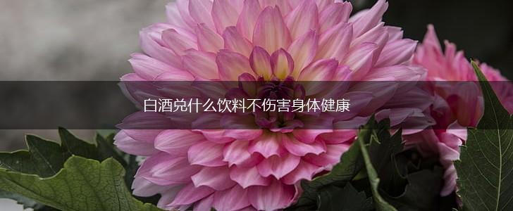 白酒兑什么饮料不伤害身体健康,第1张
