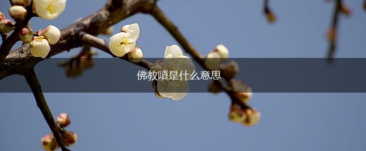 佛教嗔是什么意思,第1张
