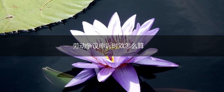 劳动争议申诉时效怎么算,第1张