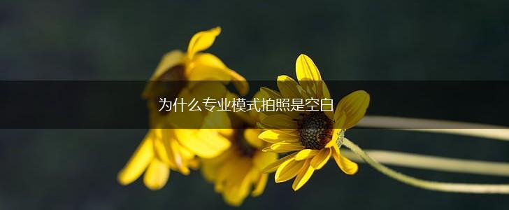 为什么专业模式拍照是空白,第1张