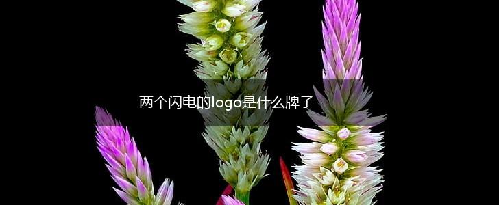 两个闪电的logo是什么牌子,第1张