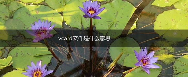 vcard文件是什么意思,第1张