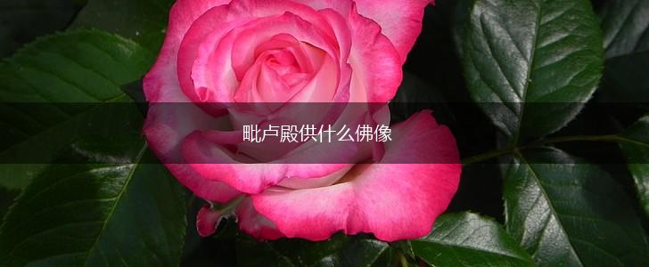毗卢殿供什么佛像,第1张