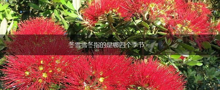 冬雪雪冬指的是哪四个季节,第1张