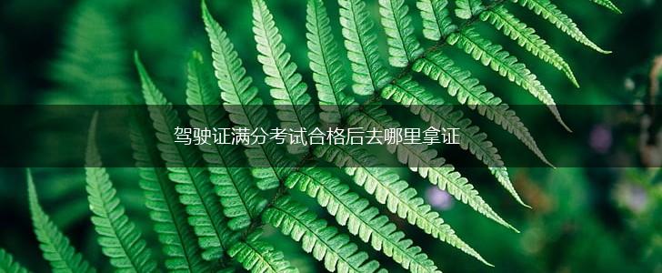 驾驶证满分考试合格后去哪里拿证,第1张 驾驶证满分考试合格后去哪里拿证,第1张