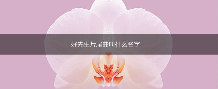 好先生片尾曲叫什么名字,第1张 好先生片尾曲叫什么名字,第1张