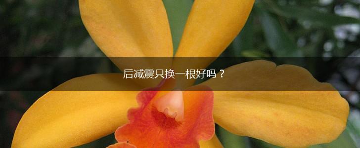 后减震只换一根好吗？,第1张