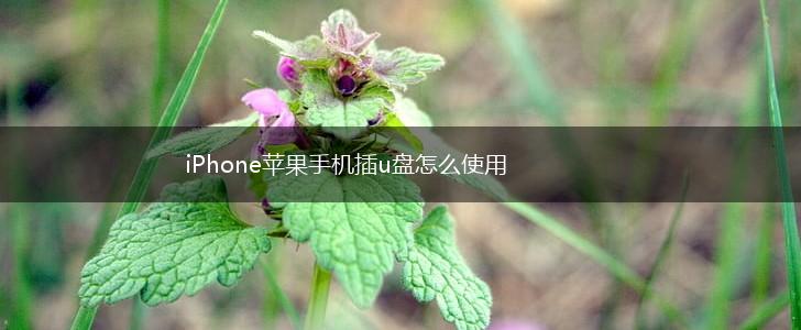 iPhone苹果手机插u盘怎么使用,第1张