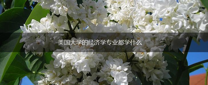 美国大学的经济学专业都学什么,第1张
