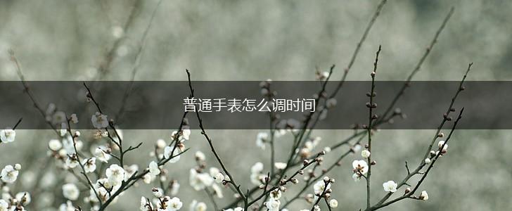 普通手表怎么调时间,第1张
