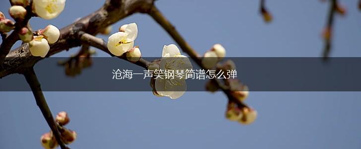 沧海一声笑钢琴简谱怎么弹,第1张 沧海一声笑钢琴简谱怎么弹,第1张