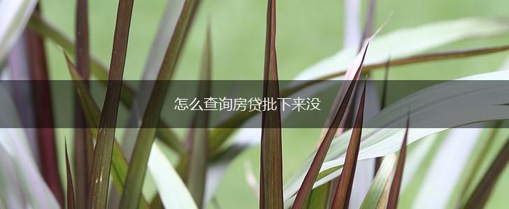 怎么查询房贷批下来没,第1张