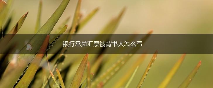 银行承兑汇票被背书人怎么写,第1张