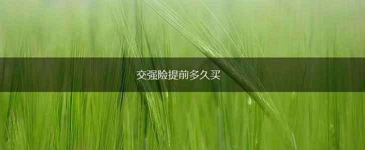 交强险提前多久买,第1张