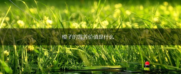 橙子的营养价值是什么,第1张