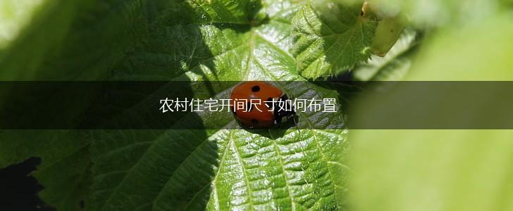 农村住宅开间尺寸如何布置,第1张