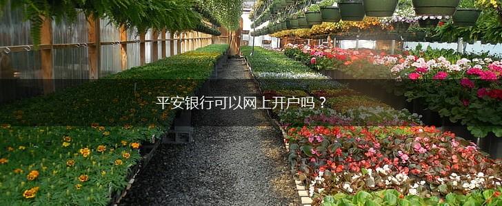 平安银行可以网上开户吗？,第1张