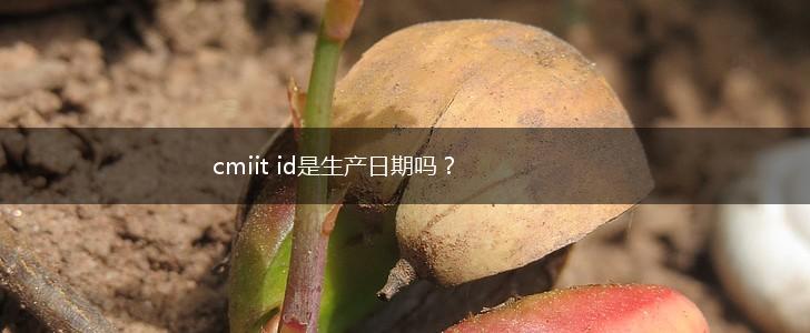 cmiit id是生产日期吗？,第1张