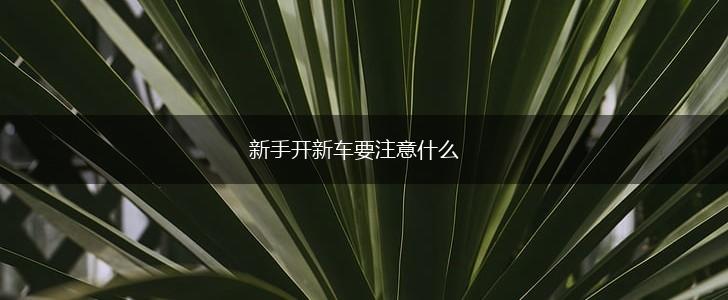 新手开新车要注意什么,第1张