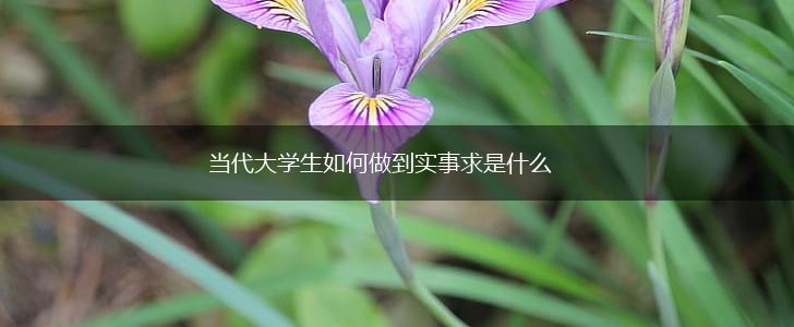 当代大学生如何做到实事求是什么,第1张