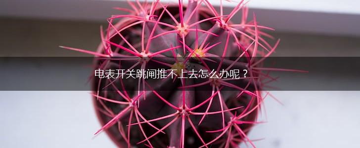 电表开关跳闸推不上去怎么办呢？,第1张