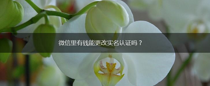 微信里有钱能更改实名认证吗？,第1张
