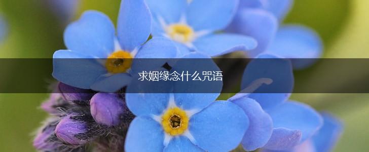 求姻缘念什么咒语,第1张